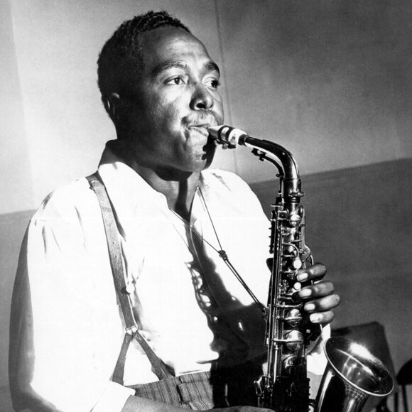 JBL CM52 Black Portable Speaker System Compact Durable Design (No Flaws!) - Picture 6 of 16